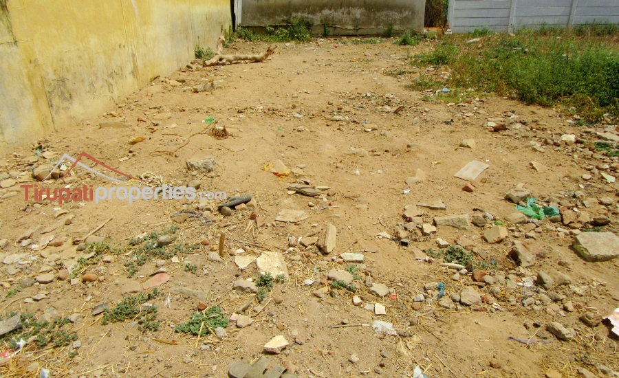 35 Anks North Facing #ReadyforConstruction #PlotforSale in Thimminaidupalem Near Mangalam Road, #Tirupati